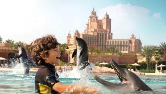 Dolphin Bay at Atlantis The Palm Dolphin Bay at Atlantis The Palm