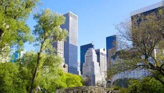Central Park Pedicab Tour Central Park Pedicab Tour