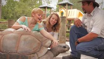 Gatorland Trainer for a day