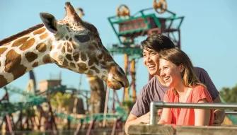 Serengeti Safari at Busch Gardens
