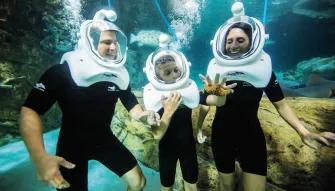 SeaVenture underwater walking tour at Discovery Cove