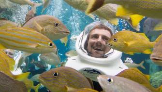 SeaVenture underwater walking tour at Discovery Cove