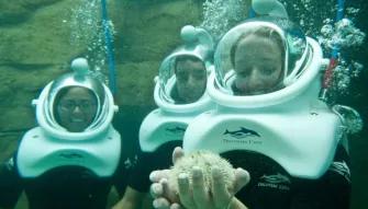 SeaVenture underwater walking tour at Discovery Cove