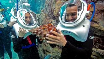 SeaVenture underwater walking tour at Discovery Cove