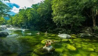 Mossman Gorge, Daintree and Wildlife Tour from Port Douglas  Mossman Gorge, Daintree and Wildlife Tour from Port Douglas