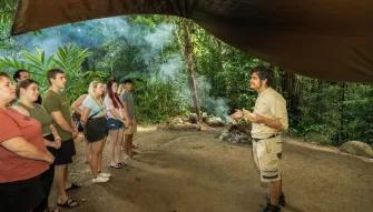 Mossman Gorge, Daintree and Wildlife Tour from Port Douglas  Mossman Gorge, Daintree and Wildlife Tour from Port Douglas