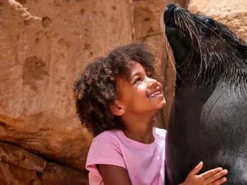 Sea Lion Meet & Greet at Atlantis Dubai Sea Lion Meet & Greet at Atlantis Dubai