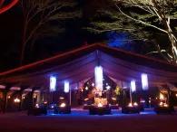 Flames of the Forest Rainforest Dining Experience from Port Douglas Flames of the Forest Rainforest Dining Experience from Port Douglas