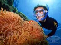 Silversonic Outer Barrier Reef