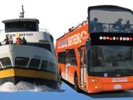 boat-and-bus