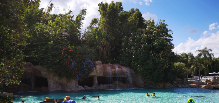 6 Things You Get for FREE with Your Discovery Cove Tickets | AttractionTickets.com