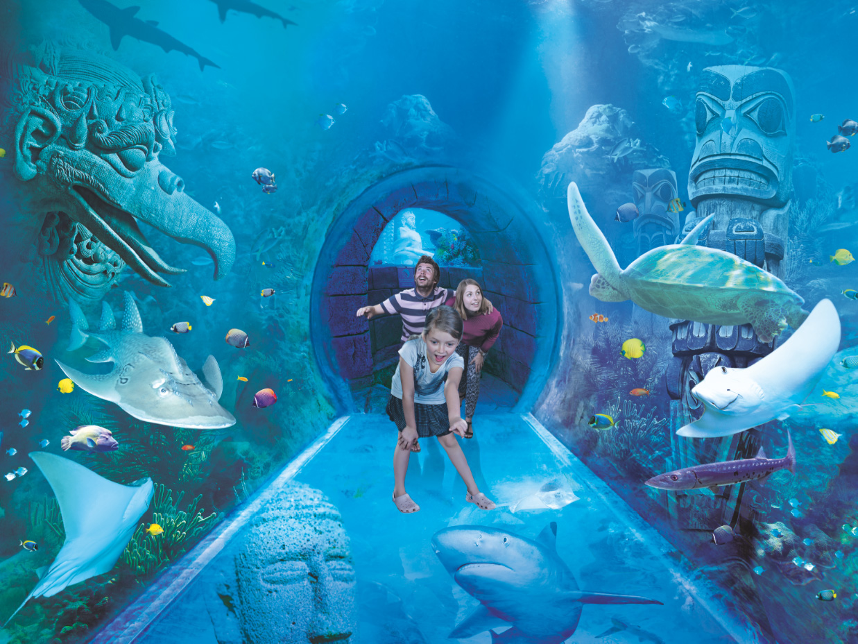 SEA LIFE Orlando Tickets Attractions