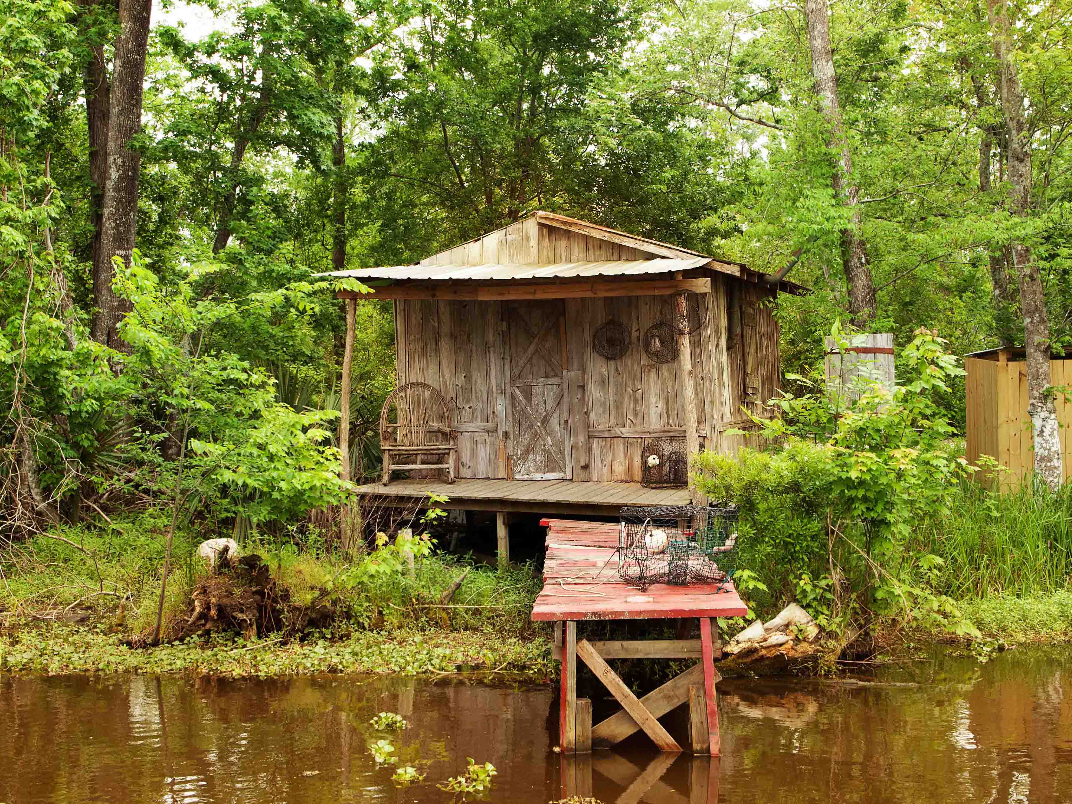 Swamp and Bayou Tour