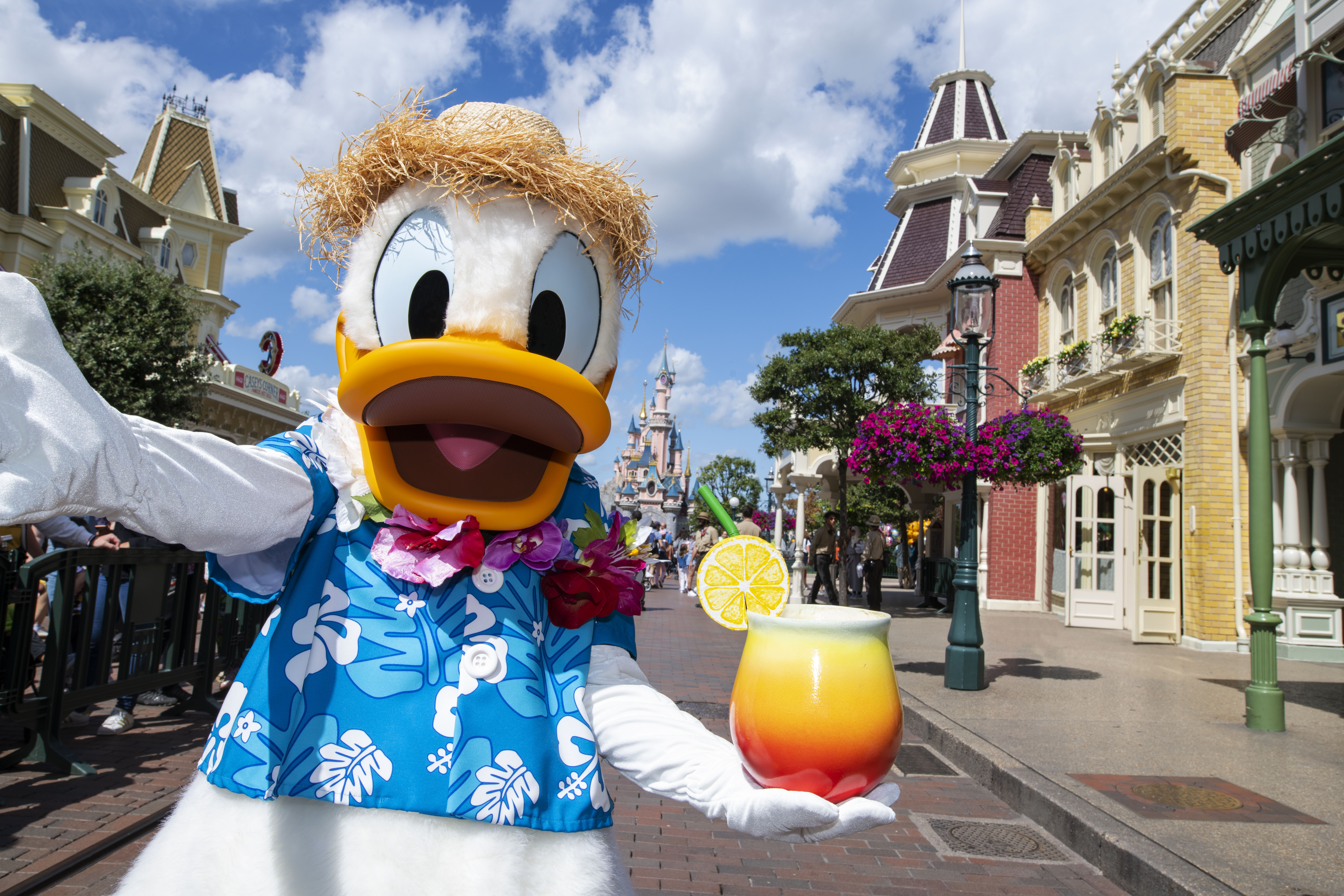 8 Things Should Know About Donald Duck Attractiontickets picture