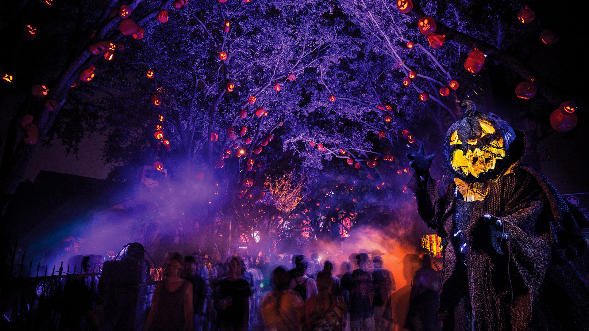 Halloween Horror Nights Costume 2022