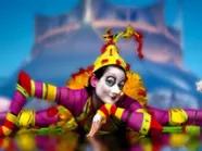 A View from the Experts