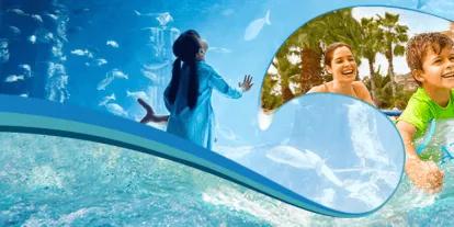 Aquaventure Offer Aquaventure Offer
