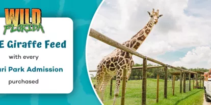 Free Giraffe Feed Included with all Wild Florida Drive Thru Safari tickets purchased with AttractionTickets.com