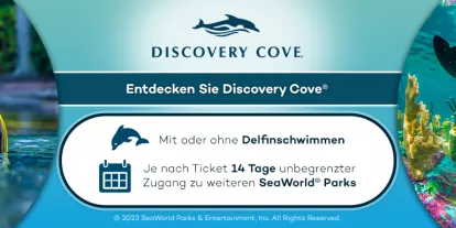 Discovery Cove Tickets über AttractionTickets.com buchen Discovery Cove Tickets über AttractionTickets.com buchen
