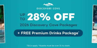 Save up to 28% and get a free Premium Drinks Package with Discovery Cove 2026 Tickets