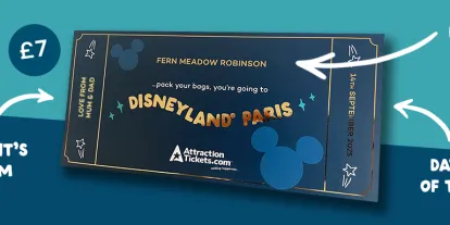 Disney and Universal Souvenir