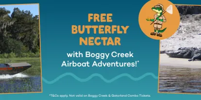 Free Butterfly Nectar at Boggy Creek Airboat Adventures Free Butterfly Nectar at Boggy Creek Airboat Adventures