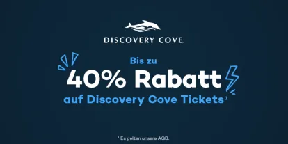 Discovery Cove Black Friday Angebot – Bis zu 40% Ersparnis