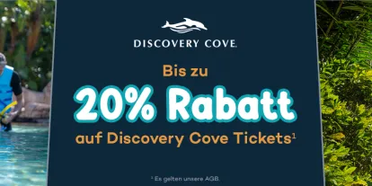 Discovery Cove Neujahrs-Sale | Bis zu 20 % Rabatt
