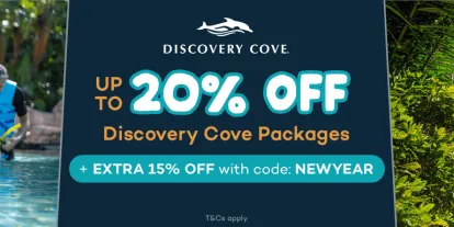 Discovery Cove New Year Sale | Save Up to 20% + EXTRA 15% OFF
