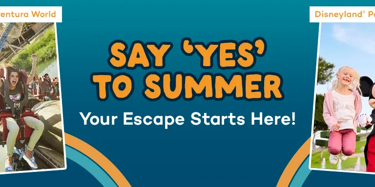 Summer Holiday Banner