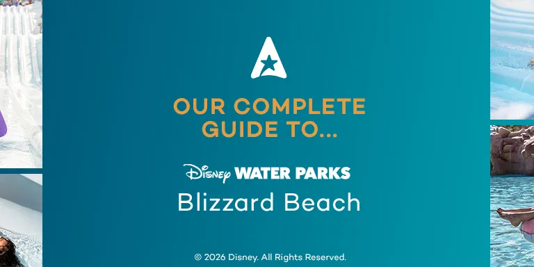 Complete Guide to Blizzard Beach