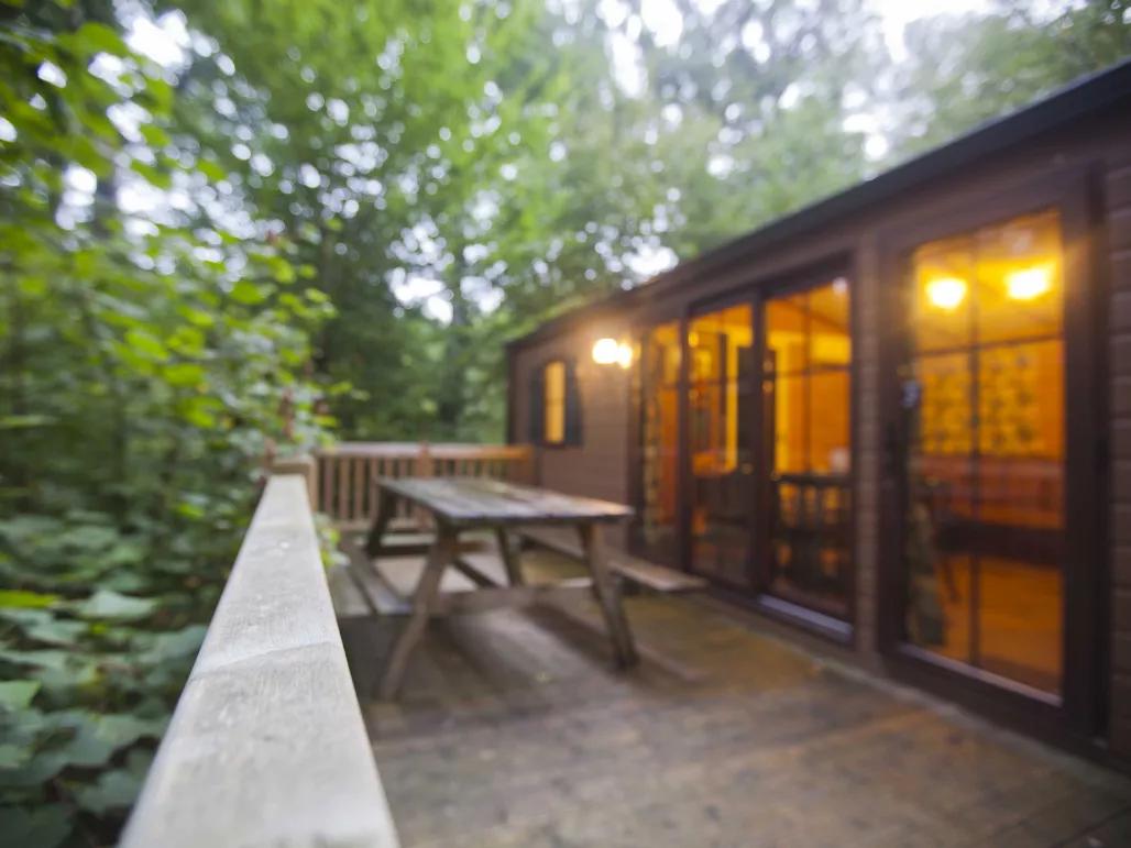 Disney's Davy Crockett Ranch