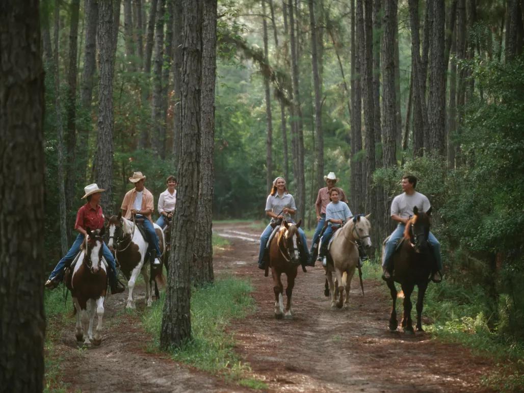 The Cabins at Disney's Fort Wilderness Resort  The Cabins at Disney's Fort Wilderness Resort