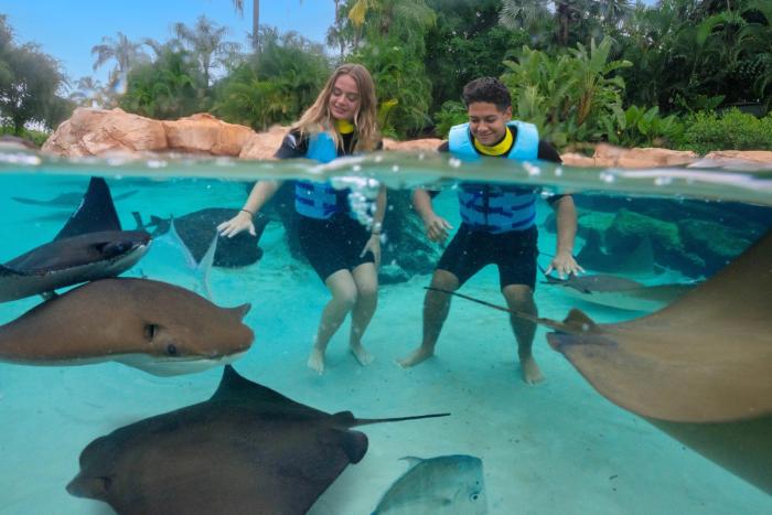Guests interacting with rays at Discovery Cove Orlando