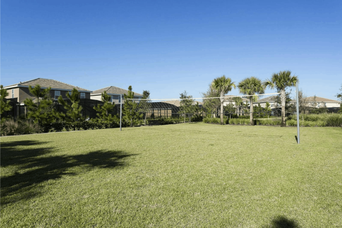 Outdoor grass volleyball court with a net, poles, and palm trees under a bright blue sky at Solterra Resort.