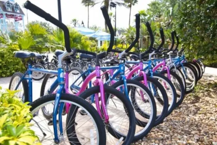 Reunion (103) Bicycle Rentals in Kissimmee