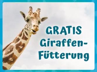 Gratis Giraffenfütterung Portrait von Giraffe - Gratis Giraffenfütterung Angebot