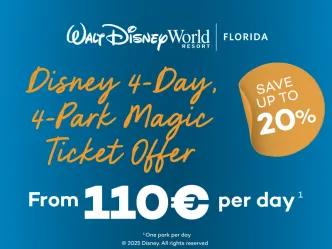 Disney 4 Day 4 Park Magic Ticket