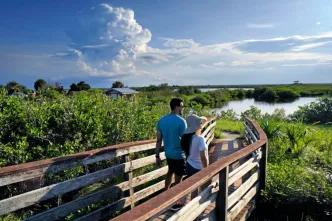 National park with wooden bridge leading out into water.