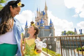 Guests at Magic Kingdom Park