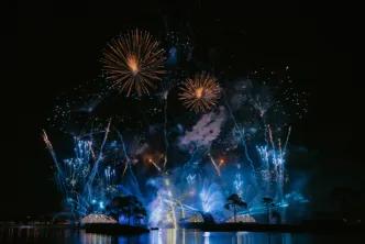 Fireworks at EPCOT drive centre in Orlando