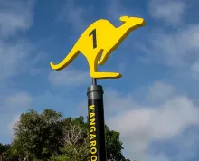 Kangaroo Bus - San Diego Zoo