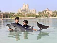 Dolphin Bay at Atlantis The Palm Dolphin Bay at Atlantis The Palm