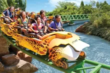 Cheetah Hunt®