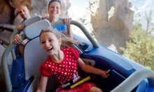 Matterhorn Bobsleds - Disneyland Park