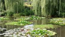 Giverny Half Day Tour with Audio Guide from Paris Giverny Half Day Tour with Audio Guide from Paris