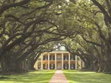 Double Plantation Tour Double Plantation Tour