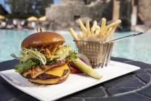 Splendido Bar & Grill™