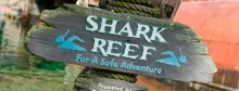 Shark Reef
