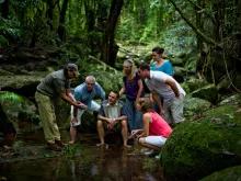Cape Tribulation & Daintree Adventure Cape Tribulation & Daintree Adventure